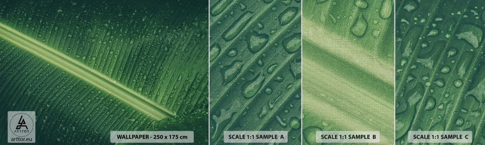 Échantillon de Papier Peint Premium Canvas - Structure de vert - Feuille verte, Plante tropicale, Morceau - 100x30 cm