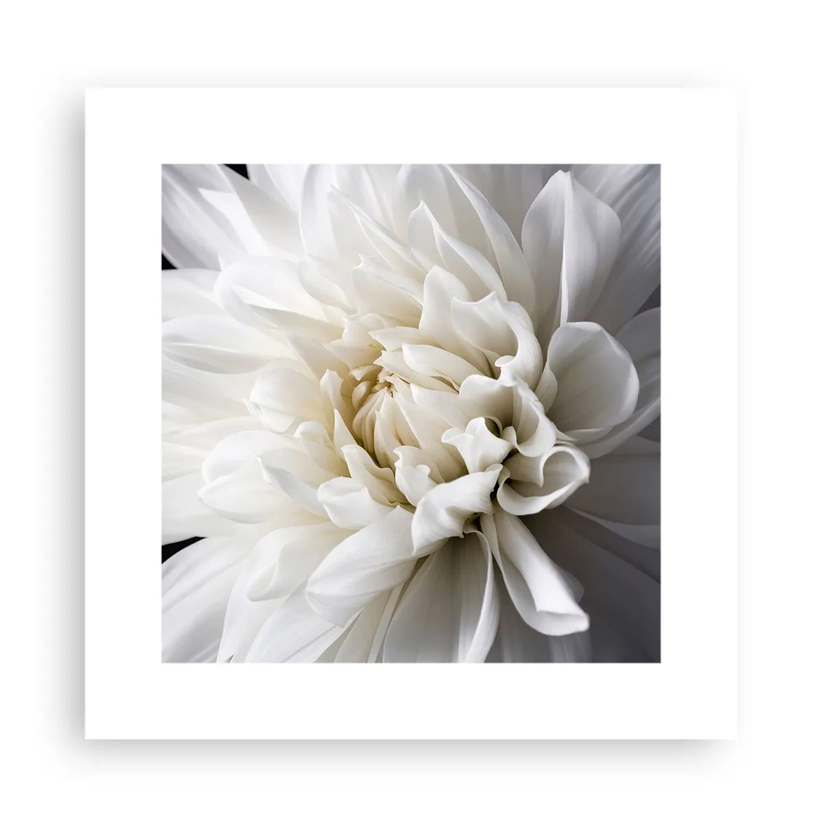 Affiche - Poster - Le matin de la jeune mariéé - 30x30 cm