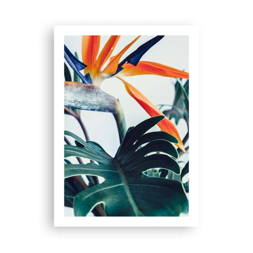 Affiche - Poster - Gros plan d'une fleur de strelitzia entourée de feuilles vertes - 50x70cm - Le buisson oiseaux - Décoration murale moderne pour le salon et la chambre ARTTOR