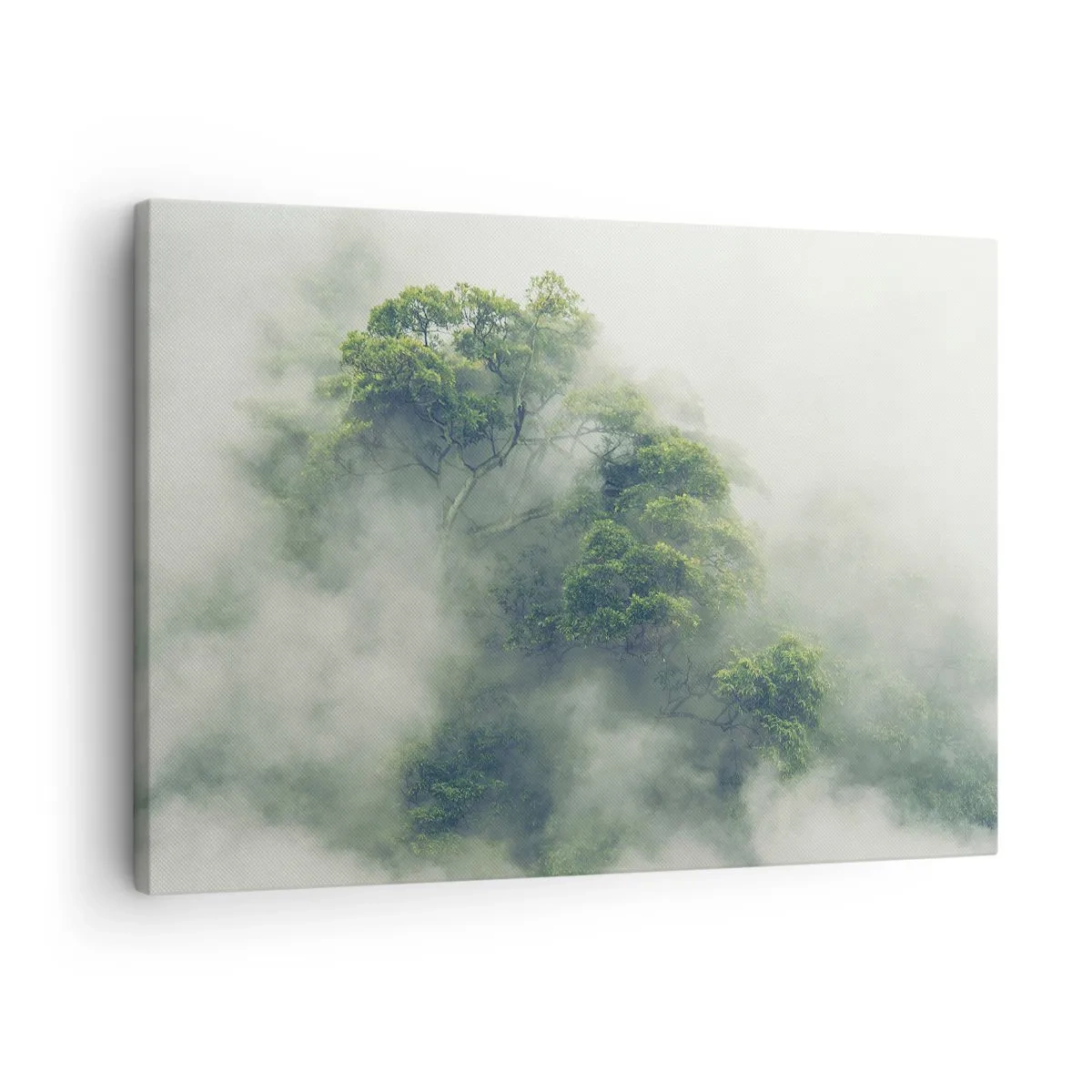 Impression sur toile - Image sur toile - Enveloppé de brouillard - 70x50 cm