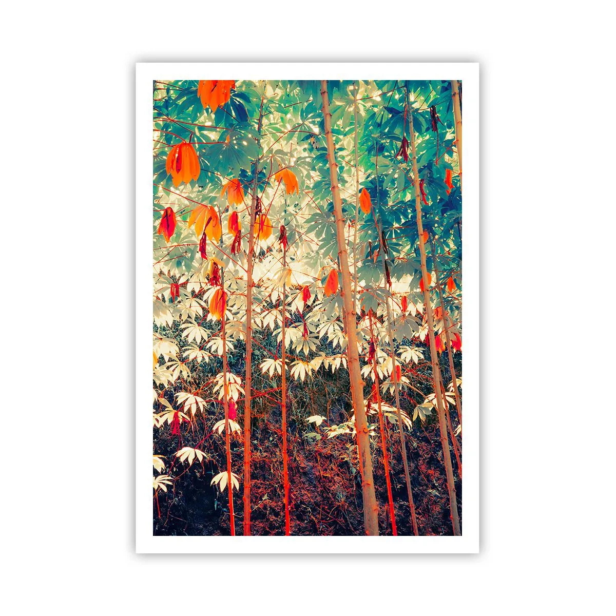 Affiche - Poster - La vie secrète des feuilles - 70x100 cm
