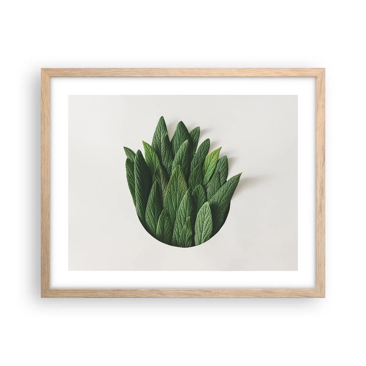 Affiche dans un chêne clair - Poster - Curiosité sans retenue - 50x40 cm