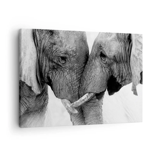 Impression sur toile - Image sur toile - Deux éléphants dans un geste tendre sur un fond monochrome - 70x50cm - Confession sincère - Décoration murale moderne pour le salon et la chambre ARTTOR