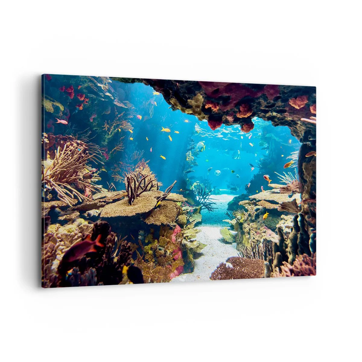 Impression sur toile - Image sur toile - Monde sous-marin avec récif corallien et poissons - 100x70cm - Tu ne l'as même pas rêvé - Décoration murale moderne pour le salon et la chambre ARTTOR