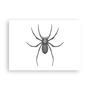Affiche - Poster - Détail d'une araignée sur fond blanc dans un style dessin animé - 100x70cm - Une précision troublante - Décoration murale moderne pour le salon et la chambre ARTTOR