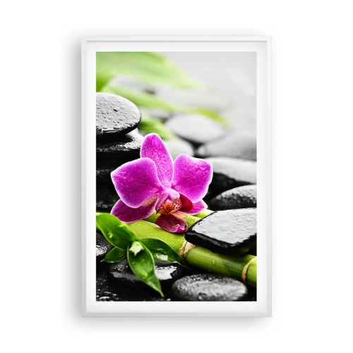 Affiche dans un cadre blanc - Poster - Dans un équilibre de calme - 61x91 cm