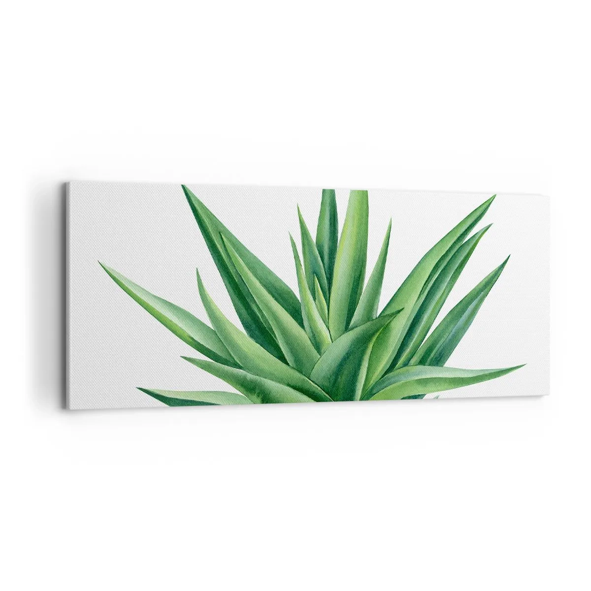 Impression sur toile - Image sur toile - Vert – force – vie - 100x40 cm