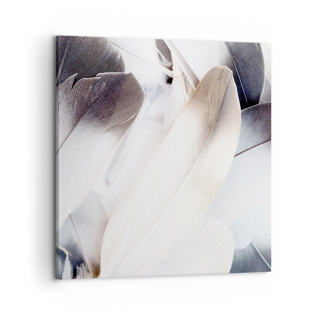 Impression sur toile - Image sur toile - Presque angélique - 60x60 cm