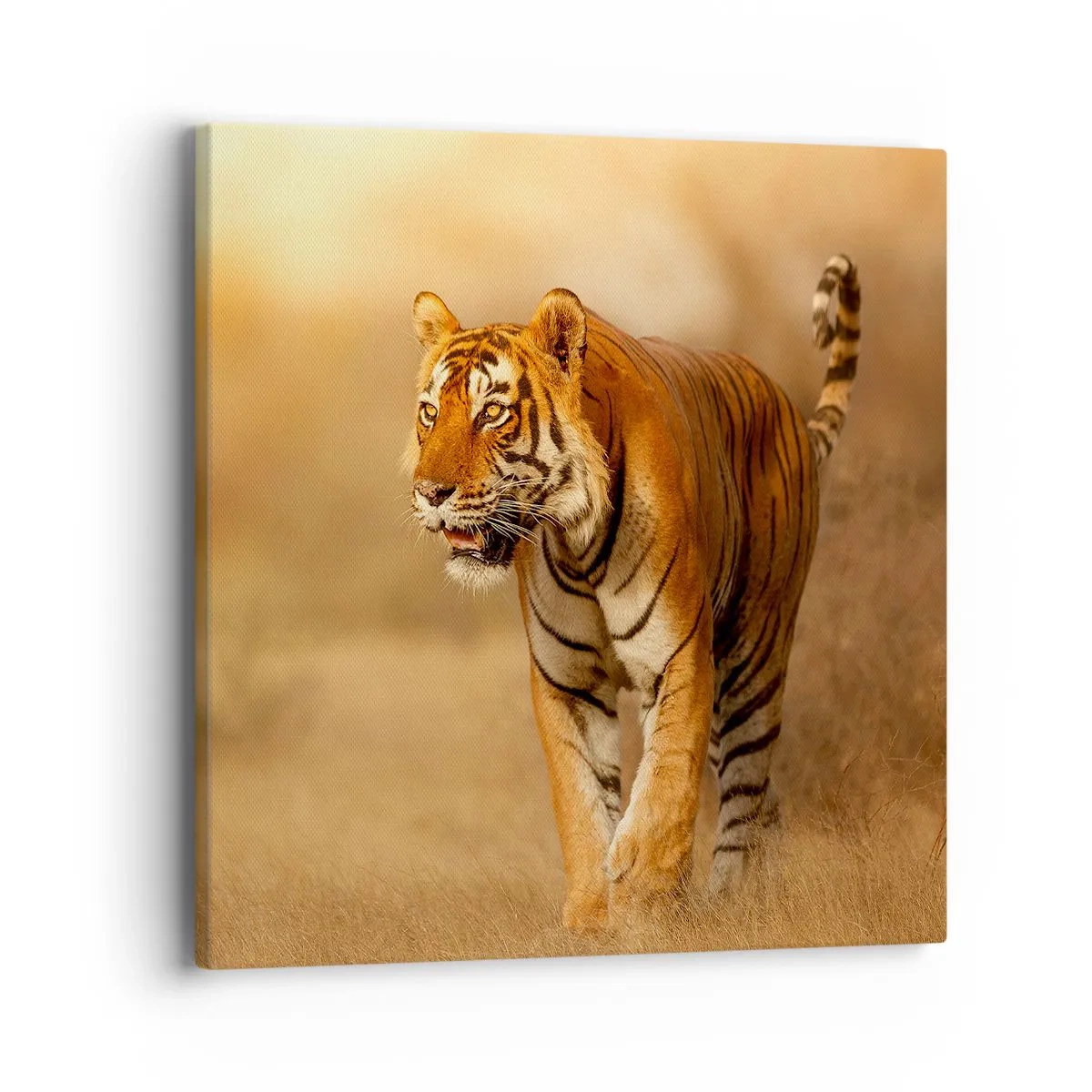 Impression sur toile - Image sur toile - Avant l'attaque - 40x40 cm