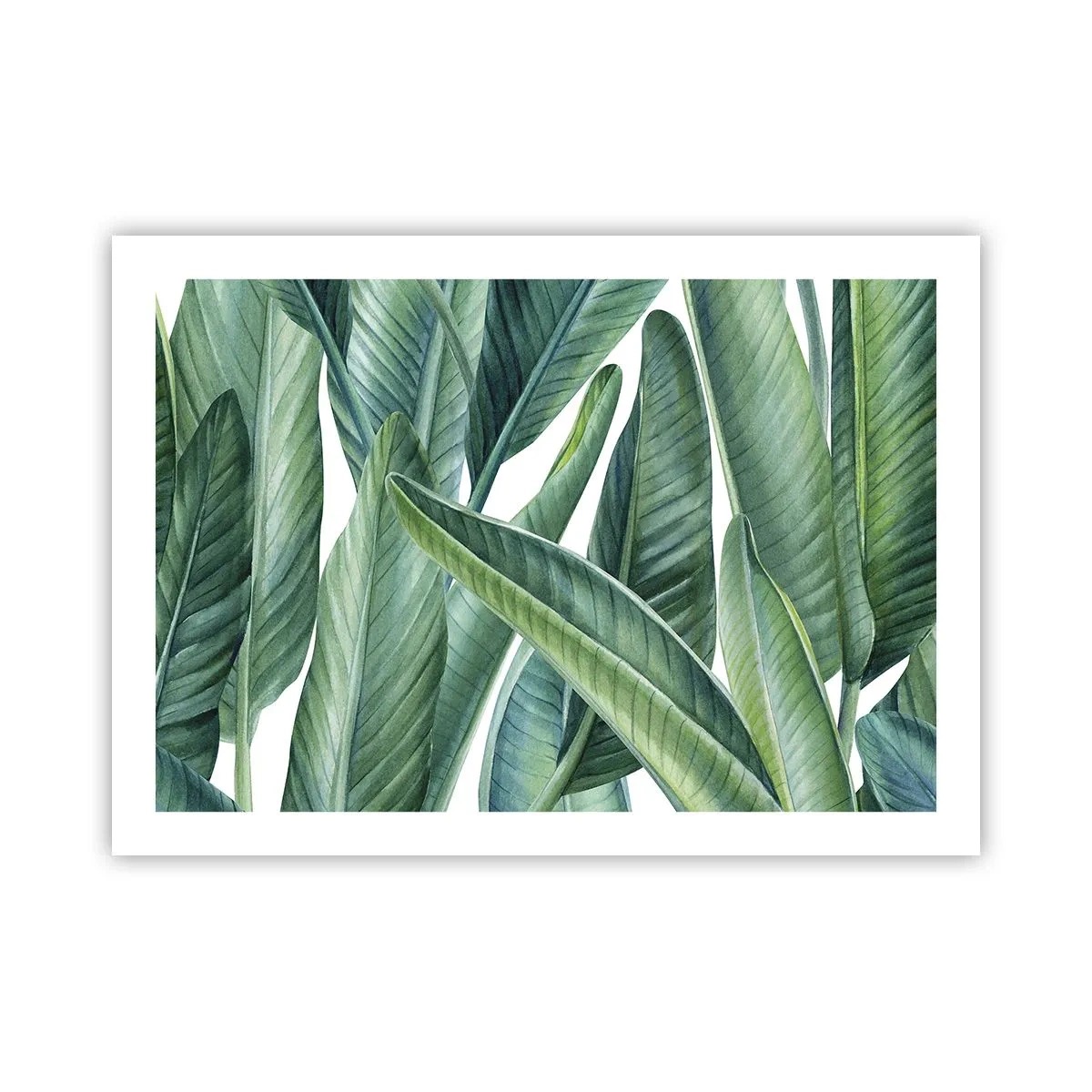 Affiche - Poster - La nature face à elle-même - 70x50 cm