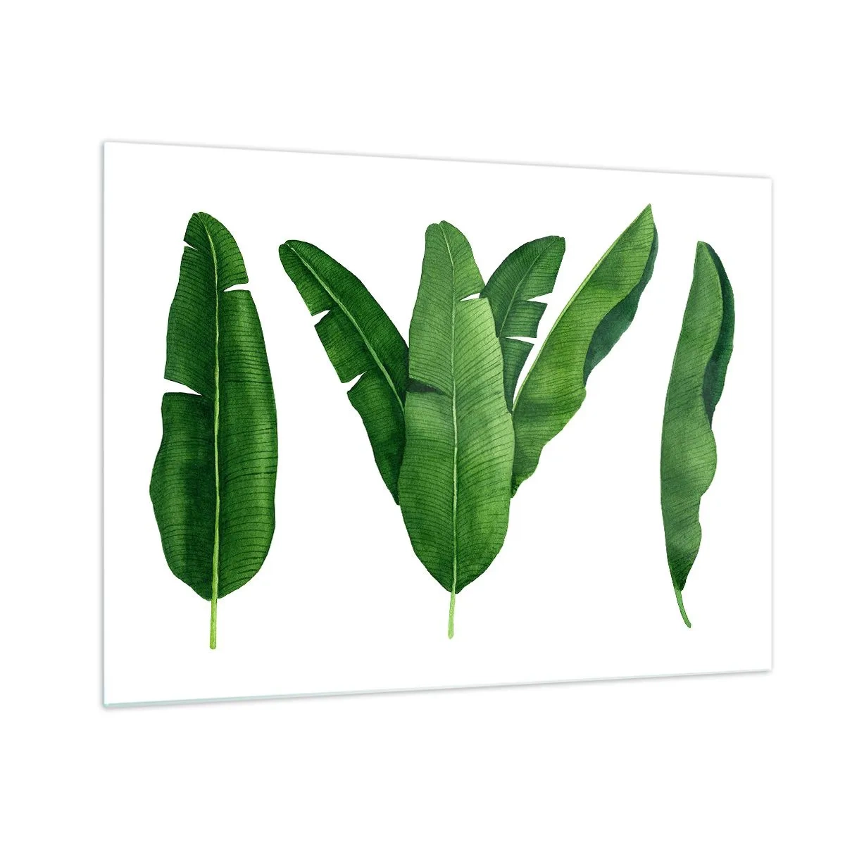 Impression sur verre - Image sur verre - Quatre feuilles de bananier vertes sur fond blanc - 70x50cm - Symétrie verte - Décoration murale moderne pour le salon et la chambre ARTTOR