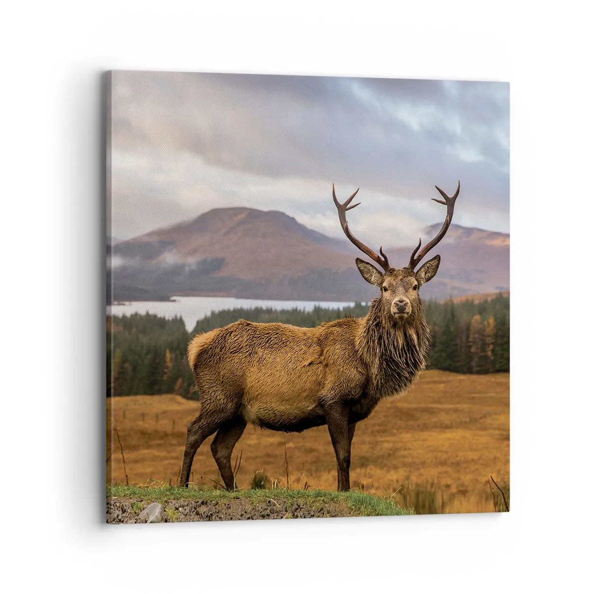 Impression sur toile - Image sur toile - Majesté de la nature - 70x70 cm