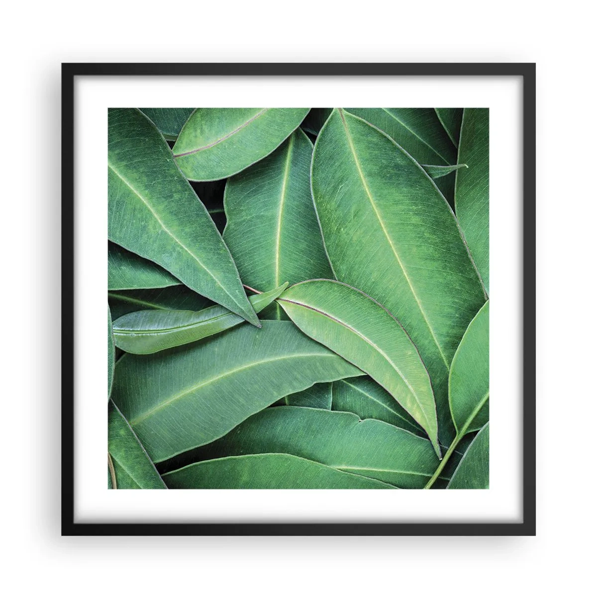 Affiche dans un cadre noir - Poster - Juteux et frais - 50x50 cm