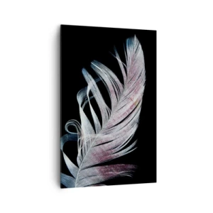 Impression sur toile - Image sur toile - Une plume délicate sur fond noir dans une démarche artistique - 80x120cm - Pensez au toucher - Décoration murale moderne pour le salon et la chambre ARTTOR