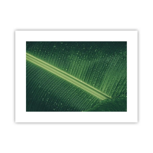 Affiche - Poster - Structure de vert - 40x30 cm