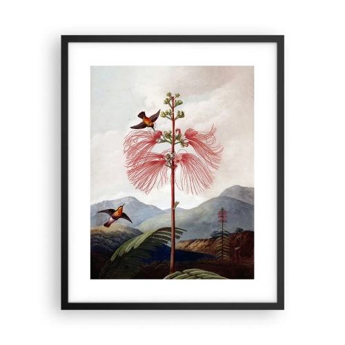 Affiche dans un cadre noir - Poster - Dans un paradis tropical - 40x50 cm