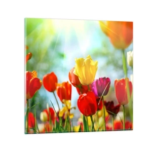 Impression sur verre - Image sur verre - Toutes les couleurs du soleil - 40x40 cm