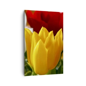 Impression sur toile - Image sur toile - Gros plan de tulipes colorées sur un fond printanier - 80x120cm - La fièvre des tulipes - Décoration murale moderne pour le salon et la chambre ARTTOR