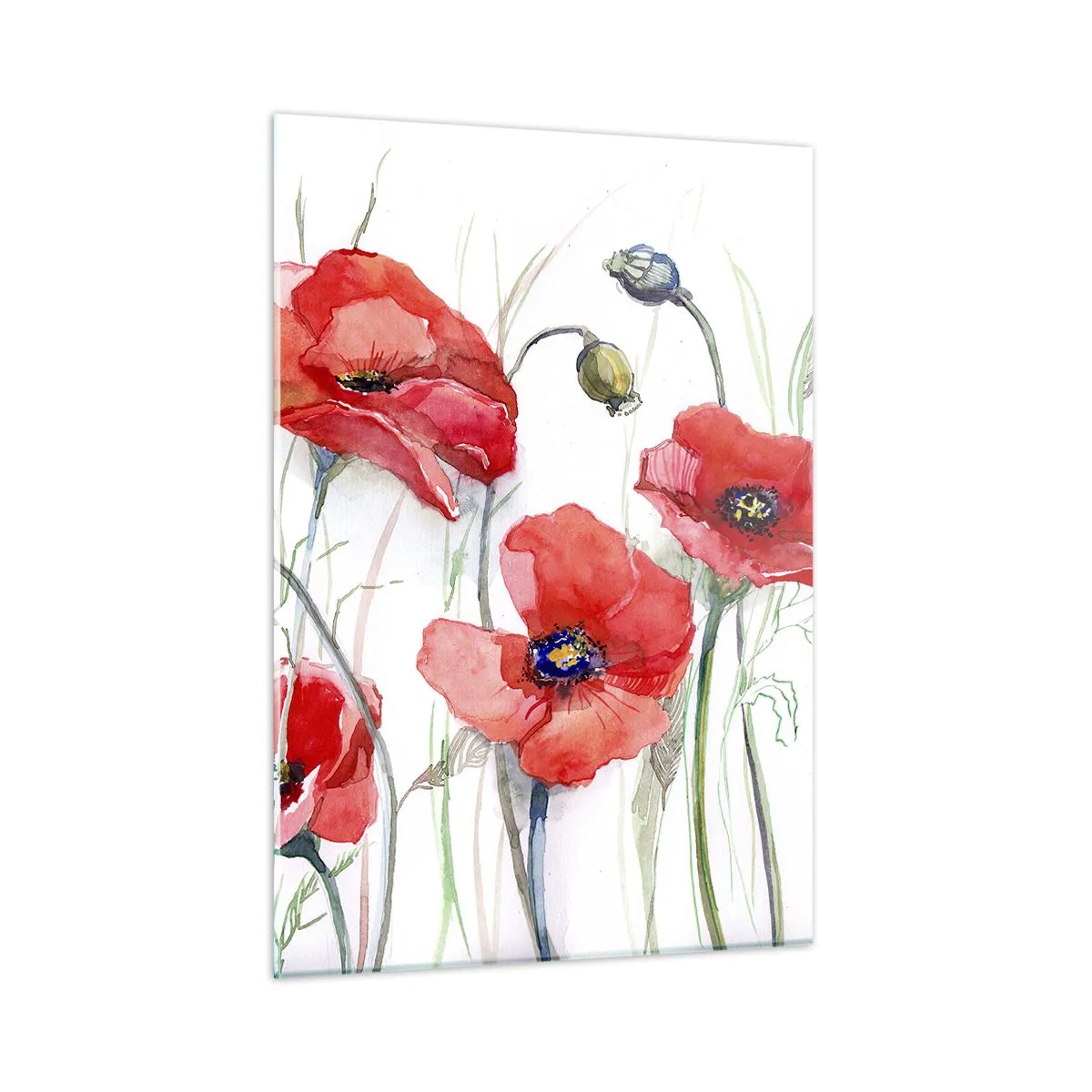 Impression sur verre - Image sur verre - Coquelicots rouges à l'aquarelle sur fond blanc - 50x70cm - Fleurs polonaises - Décoration murale moderne pour le salon et la chambre ARTTOR