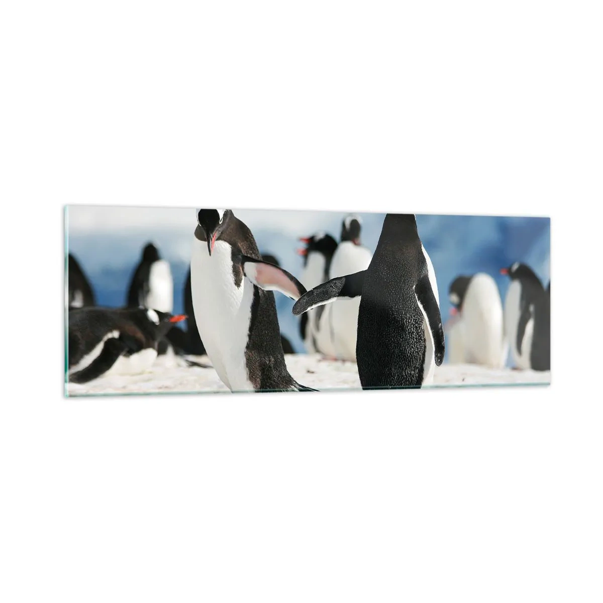 Impression sur verre - Image sur verre - Danser dans la neige - 90x30 cm