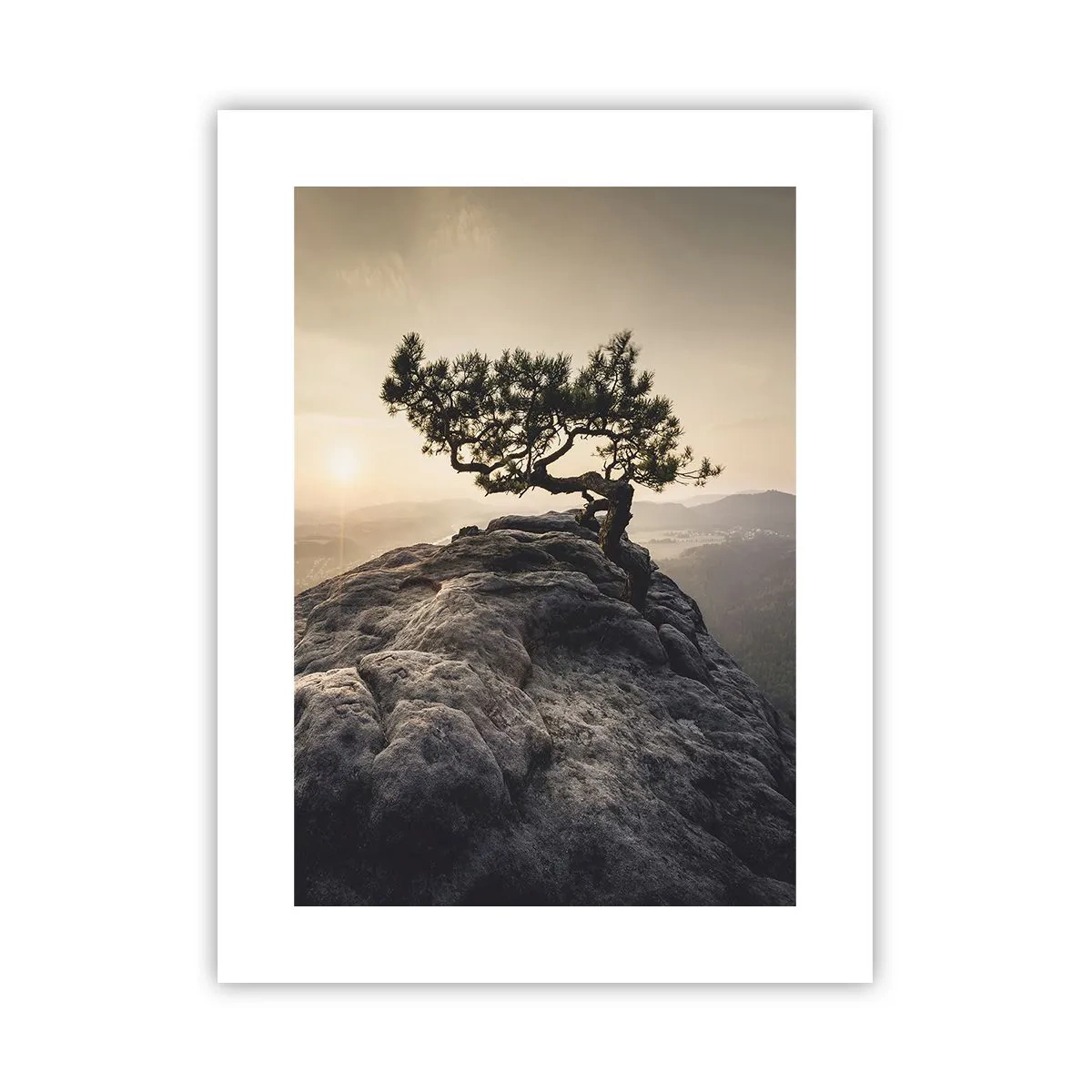 Affiche - Poster - La vie gagne toujours - 30x40 cm