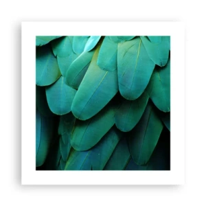 Affiche - Poster - Perfection de la nature du perroquet - 40x40 cm