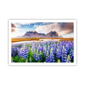 Affiche - Poster - La force et l'austérité côtoient la douceur - 91x61 cm