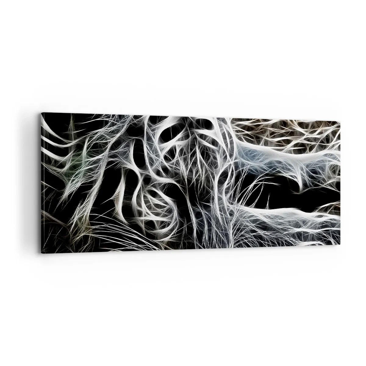 Impression sur toile - Image sur toile - Une étude de la légèreté du chat - 100x40 cm