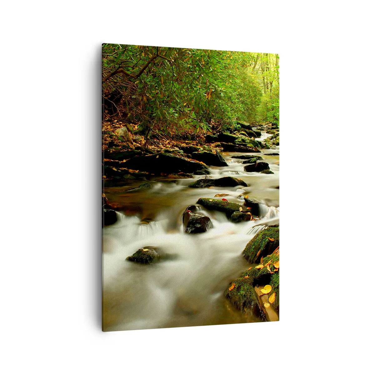Impression sur toile - Image sur toile - Un ruisseau forestier coulant entre des pierres entourées de verdure - 70x100cm - Comme de l'argent liquide - Décoration murale moderne pour le salon et la chambre ARTTOR