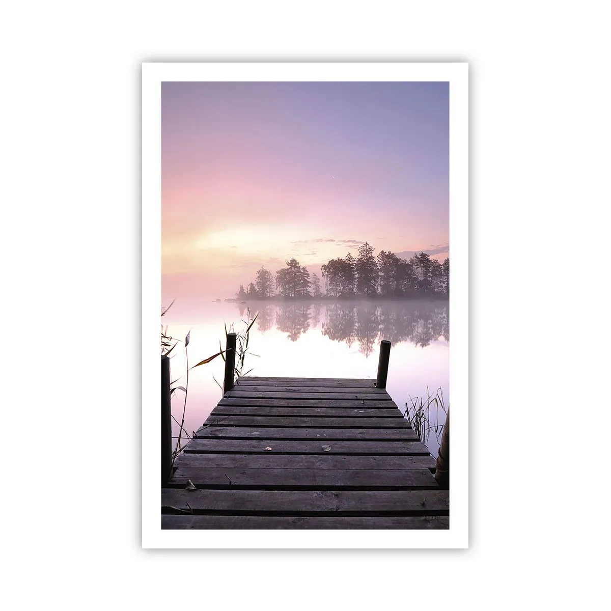 Affiche - Poster - De la brume lilas… - 61x91 cm