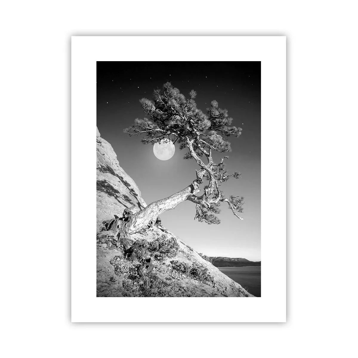 Affiche - Poster - Un combattant vainqueur - 30x40 cm