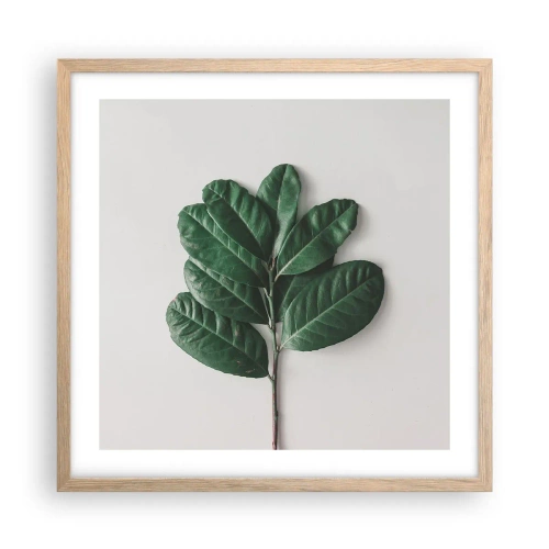 Affiche dans un chêne clair - Poster - Dessin de la nature elle-même - 50x50 cm