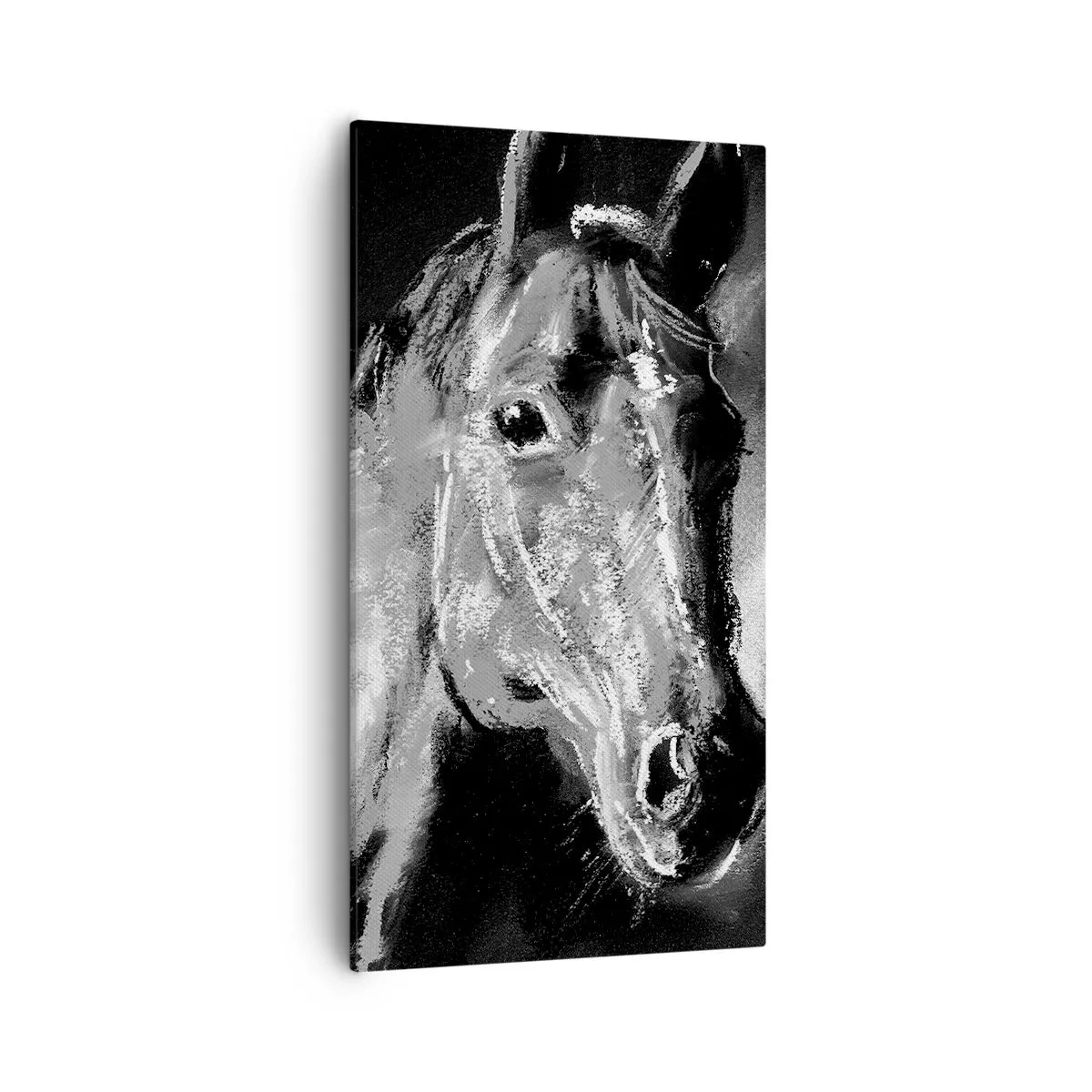 Impression sur toile - Image sur toile - L'éclat d'une âme noble - 55x100 cm