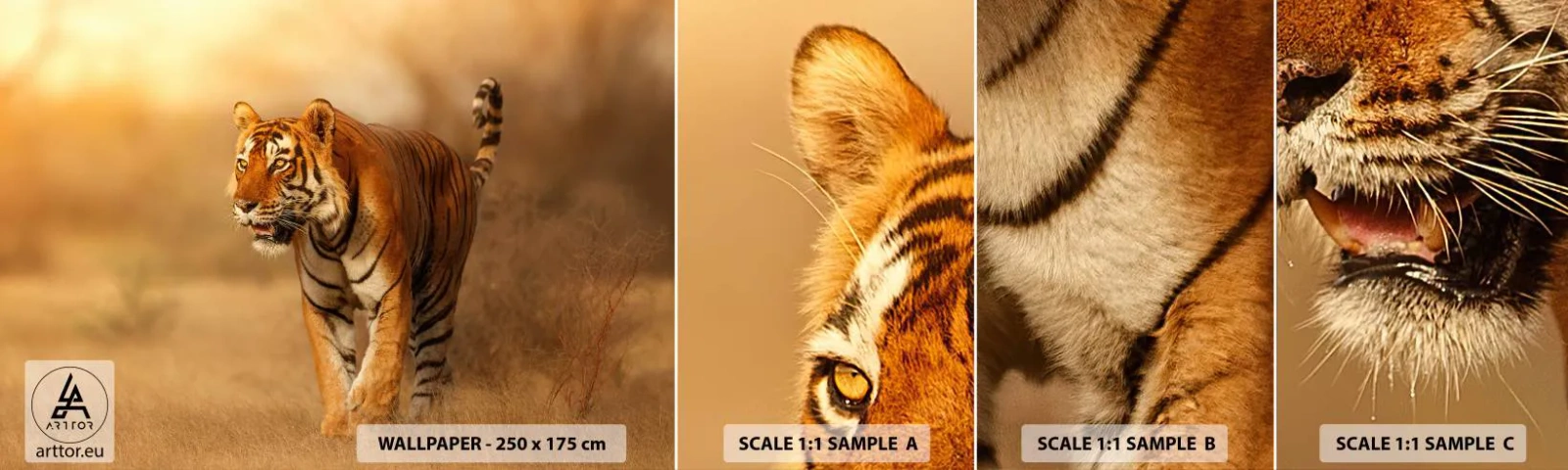 Échantillon de Papier Peint Autocollant Deluxe Sticker - Avant l'attaque - Animaux, Tigre, Afrique - 100x30 cm