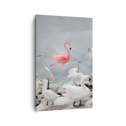 Impression sur toile - Image sur toile - Un flamant rose parmi des cygnes blancs sur fond de lac - 80x120cm - Comment suis-je arrivé là? - Décoration murale moderne pour le salon et la chambre ARTTOR