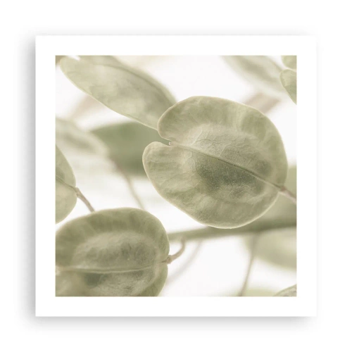 Affiche - Poster - Au commencement il y avait des feuilles... - 50x50 cm