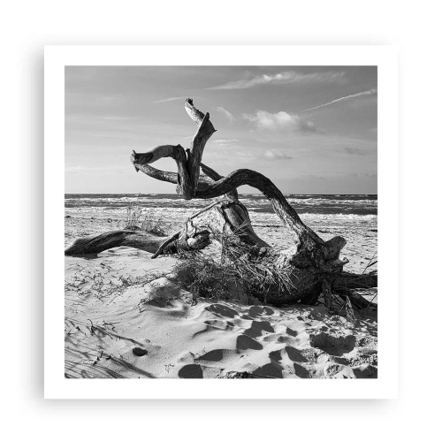 Affiche - Poster - Sculpture marine - 60x60 cm