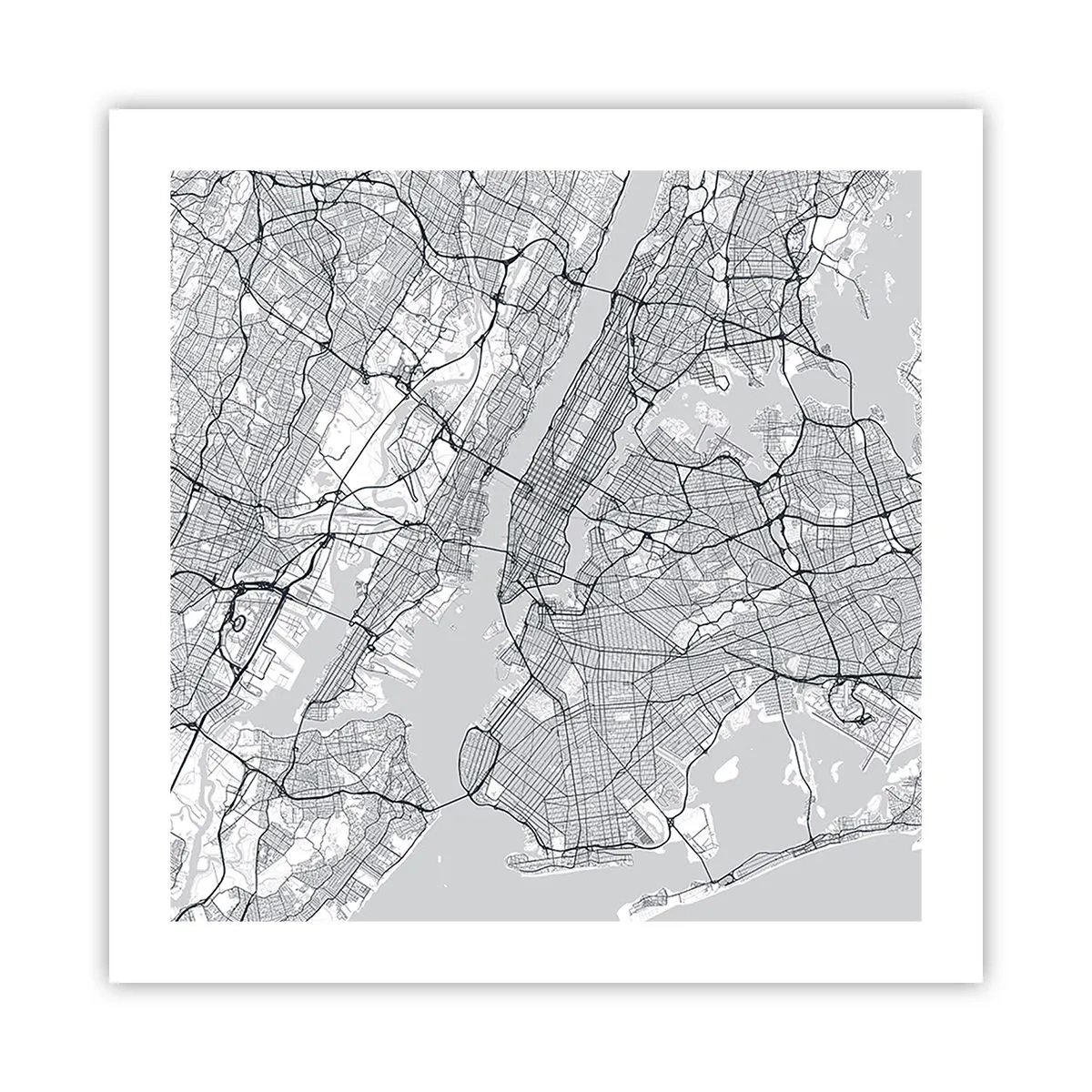 Affiche - Poster - Anatomie de la métropole - 50x50 cm