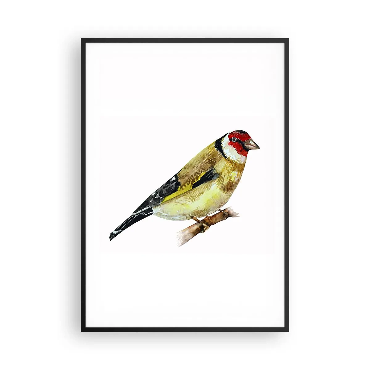 Affiche dans un cadre noir - Poster - Portrait d'oiseau - 70x100 cm