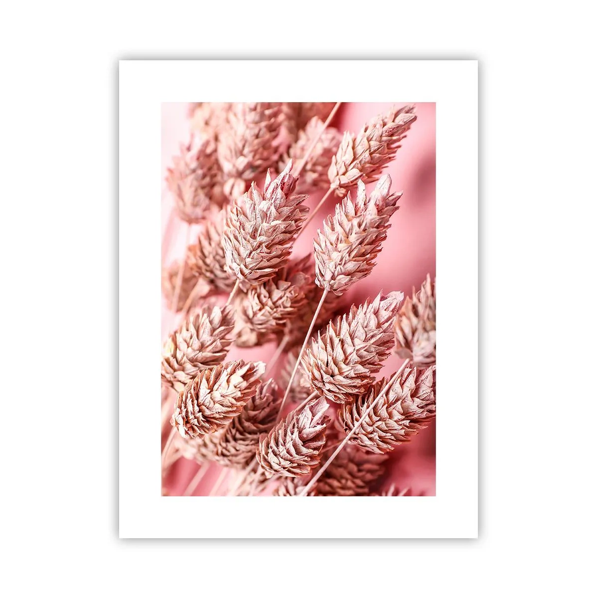Affiche - Poster - Une cascade florale en rose - 30x40 cm