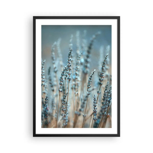 Affiche dans un cadre noir - Poster - Délicates fleurs de lavande sur fond pastel - 50x70cm - Tige odorante - Décoration murale moderne pour le salon et la chambre ARTTOR