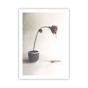 Affiche - Poster - Une rose en pot avec un effet fluide artistique - 50x70cm - Rosa dolorosa - Décoration murale moderne pour le salon et la chambre ARTTOR