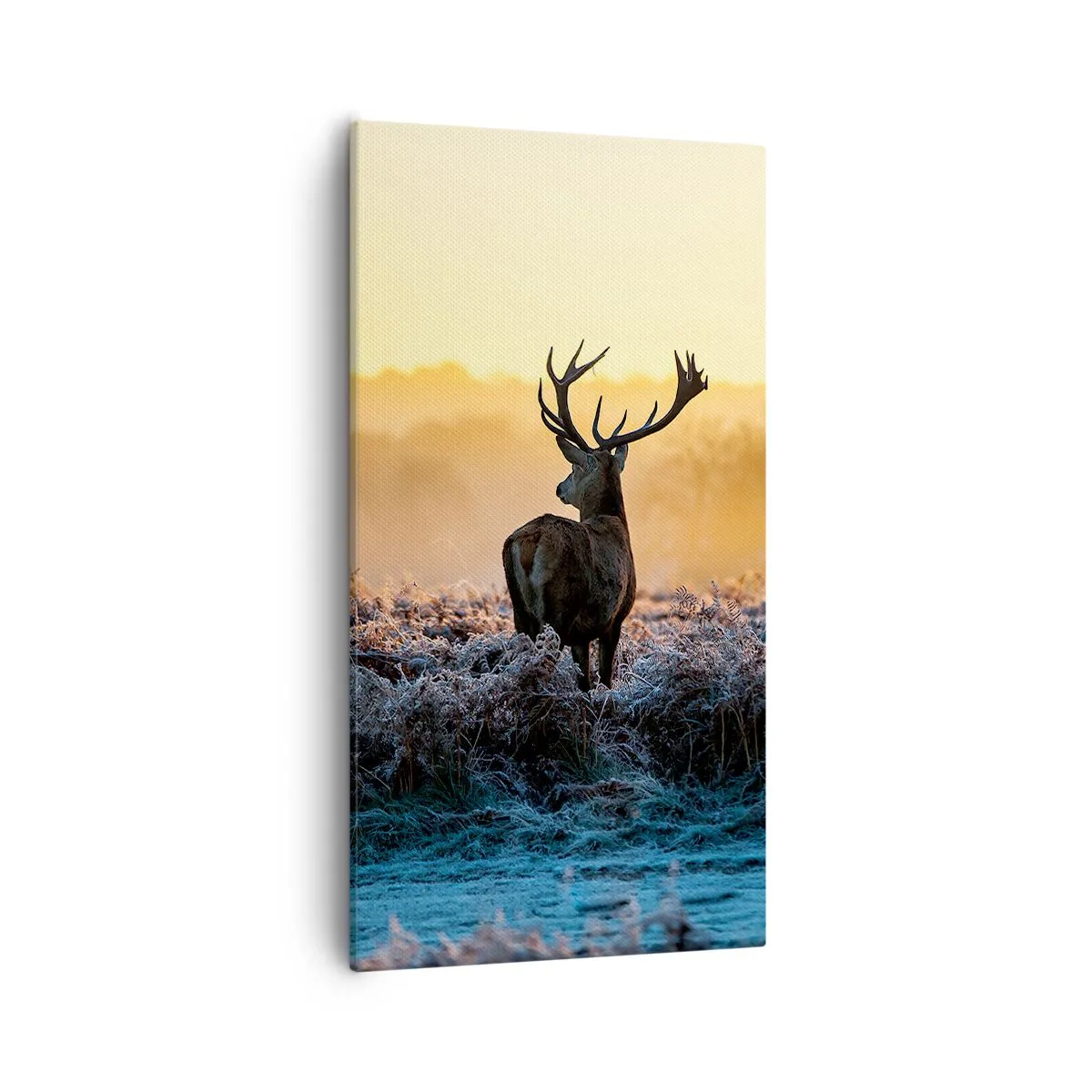 Impression sur toile - Image sur toile - Couronné pour sa succession - 55x100 cm