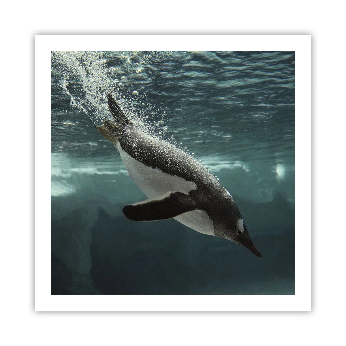 Affiche - Poster - Bienvenue dans mon monde - 60x60 cm