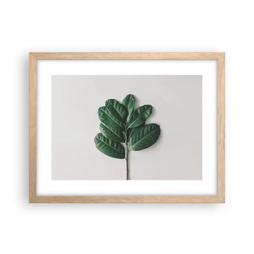 Affiche dans un chêne clair - Poster - Dessin de la nature elle-même - 40x30 cm