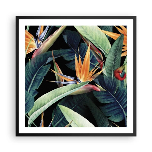 Affiche dans un cadre noir - Poster - Fleurs flamboyantes des tropiques - 60x60 cm