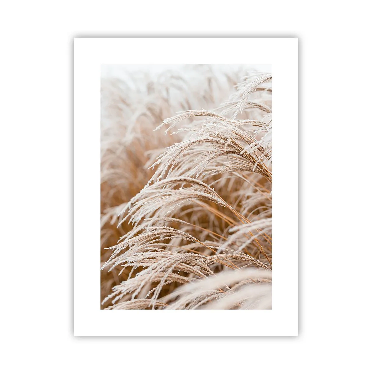 Affiche - Poster - Prosternez-vous devant le soleil d'automne - 30x40 cm