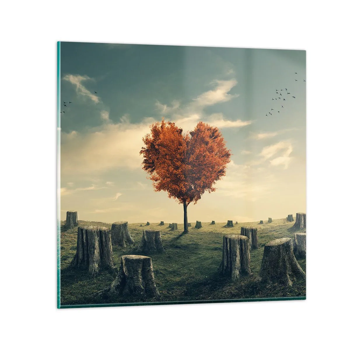 Impression sur verre - Image sur verre - Il y a toujours de l'espoir - 70x70 cm