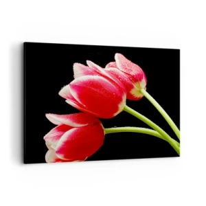 Impression sur toile - Image sur toile - Tulipes rouges avec des gouttes de rosée sur fond noir - 120x80cm - Une promesse d'amour pur - Décoration murale moderne pour le salon et la chambre ARTTOR