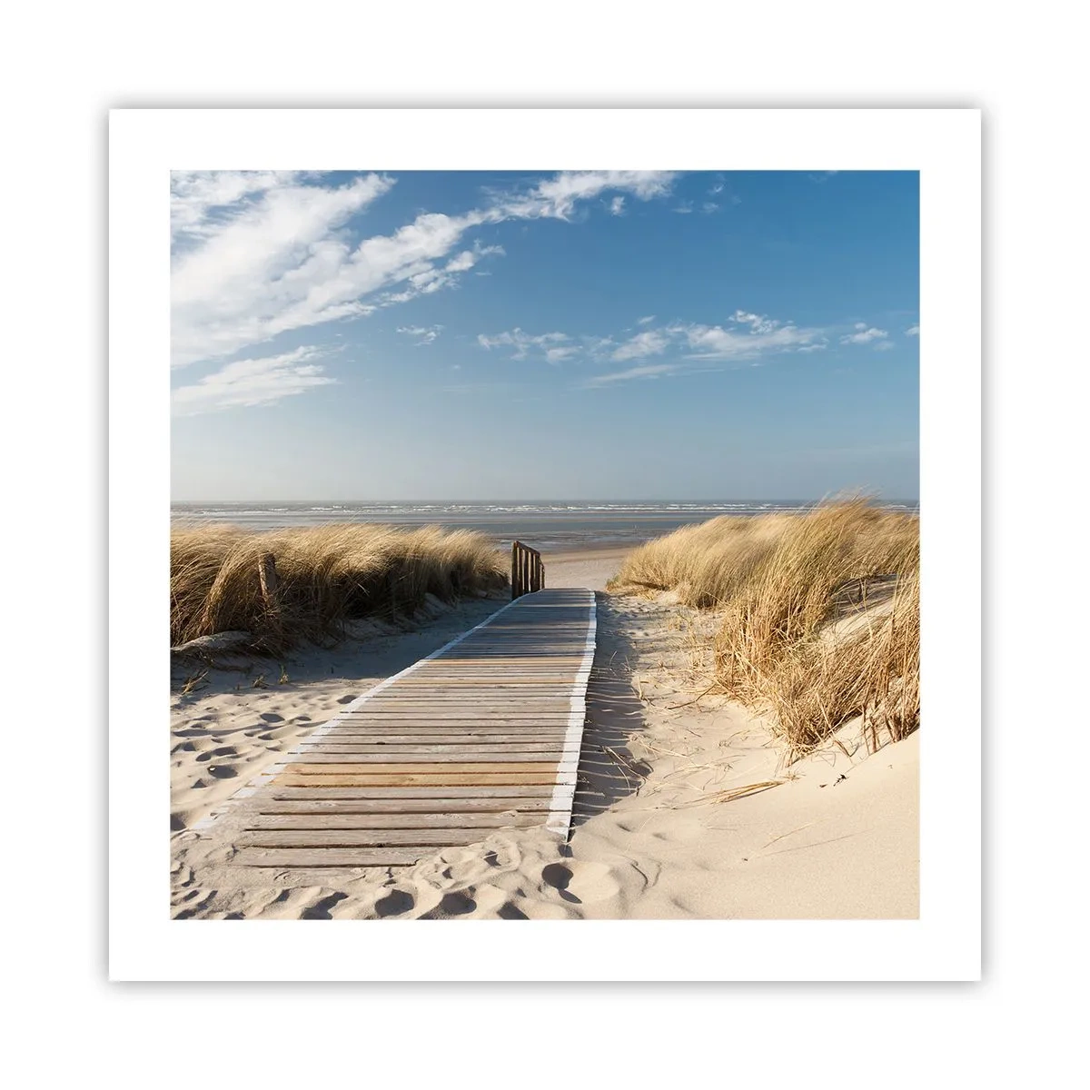 Affiche - Poster - Derrière la dune, dans le bruissement de l'herbe - 50x50 cm
